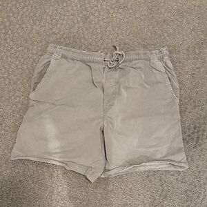 American Eagle Outfitters Light Gray Flat Front Shorts